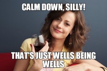 wells fargo meme